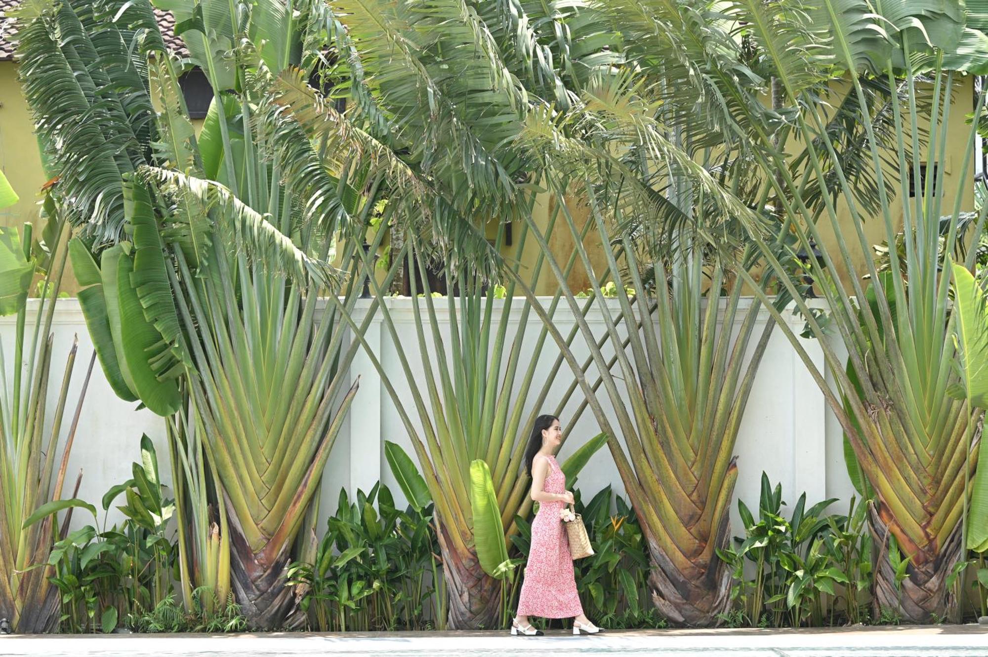 Shining Riverside Hoi An Boutique & Spa Exterior foto